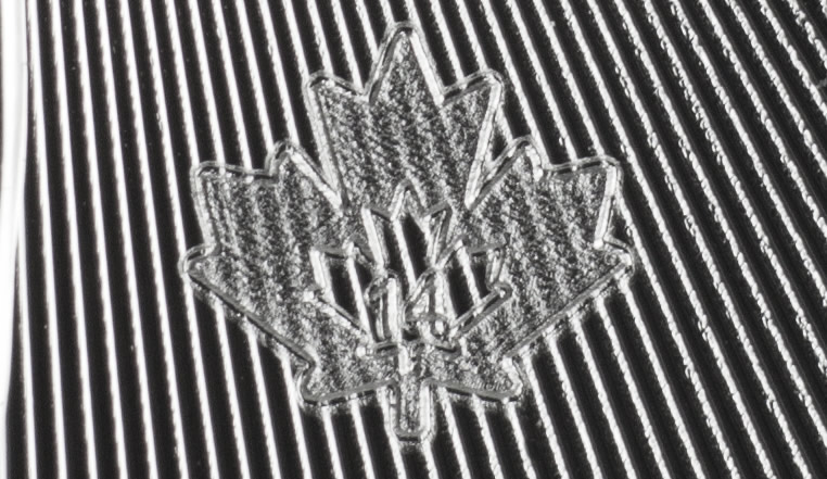 Silver Maple Leaf Microprint Zoom