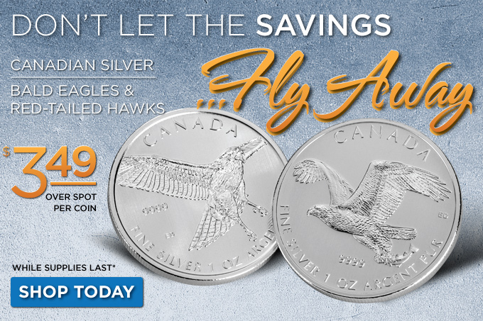 Don’t Let The Savings Fly Away…